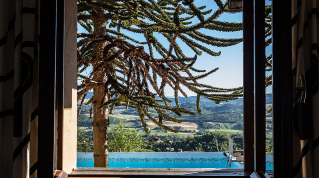 Agriturismo Il Vino e le Rose - Vista Piscina