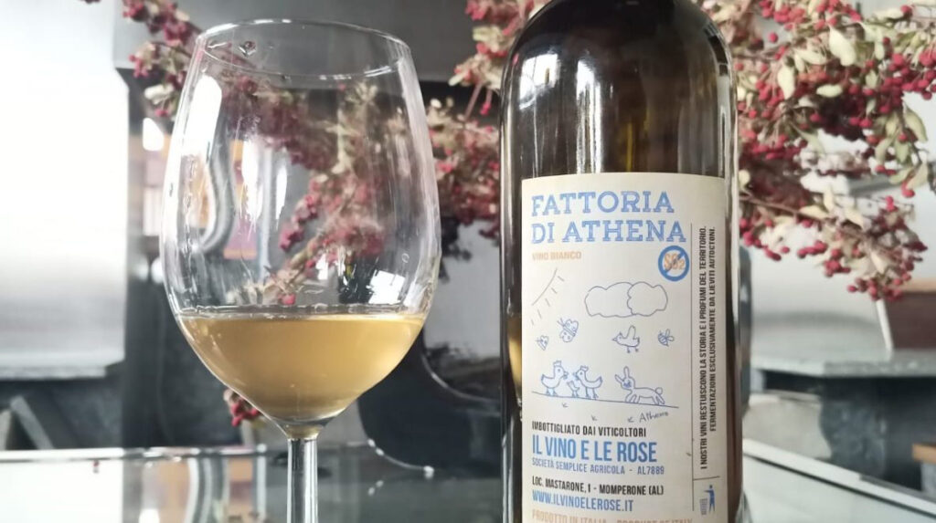 Il Vino e le Rose - Fattoria di Atena 2021