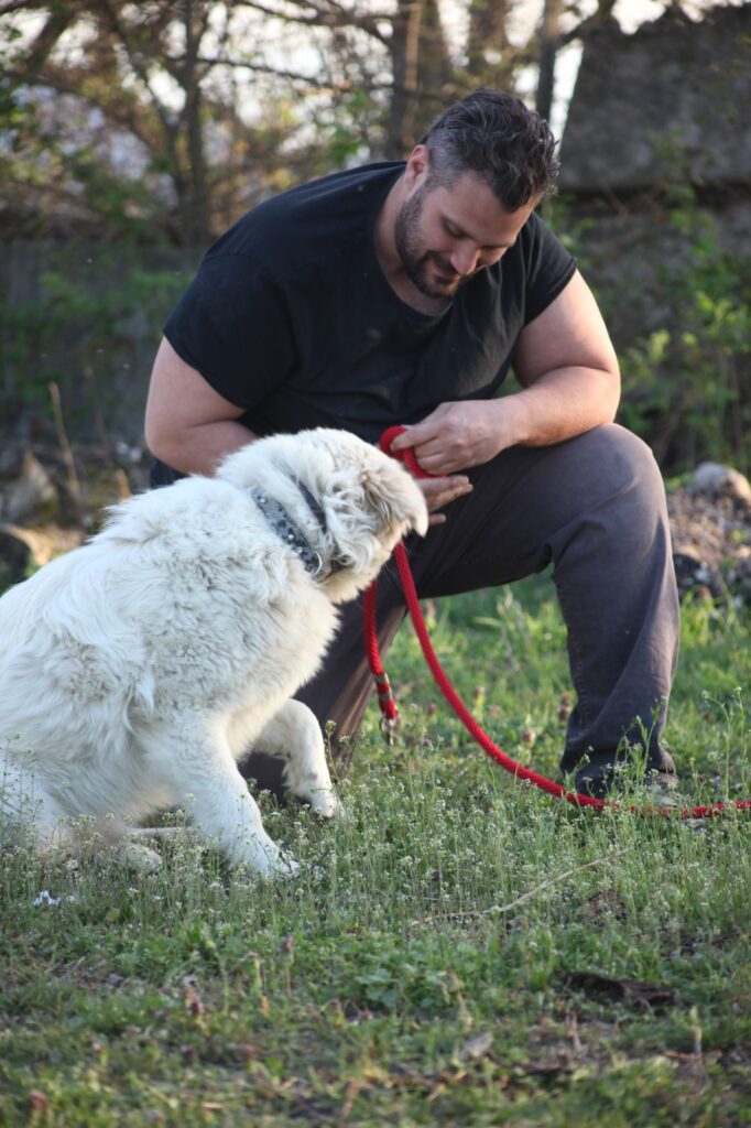 Mirko e il Centro Benessere del Cane - Il Vino e le Rose