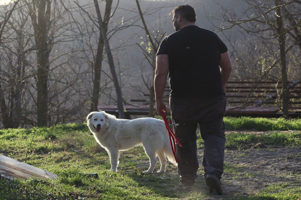 Mirko met de hond in het Wellnesscentrum voor Honden - Il Vino e le Rose