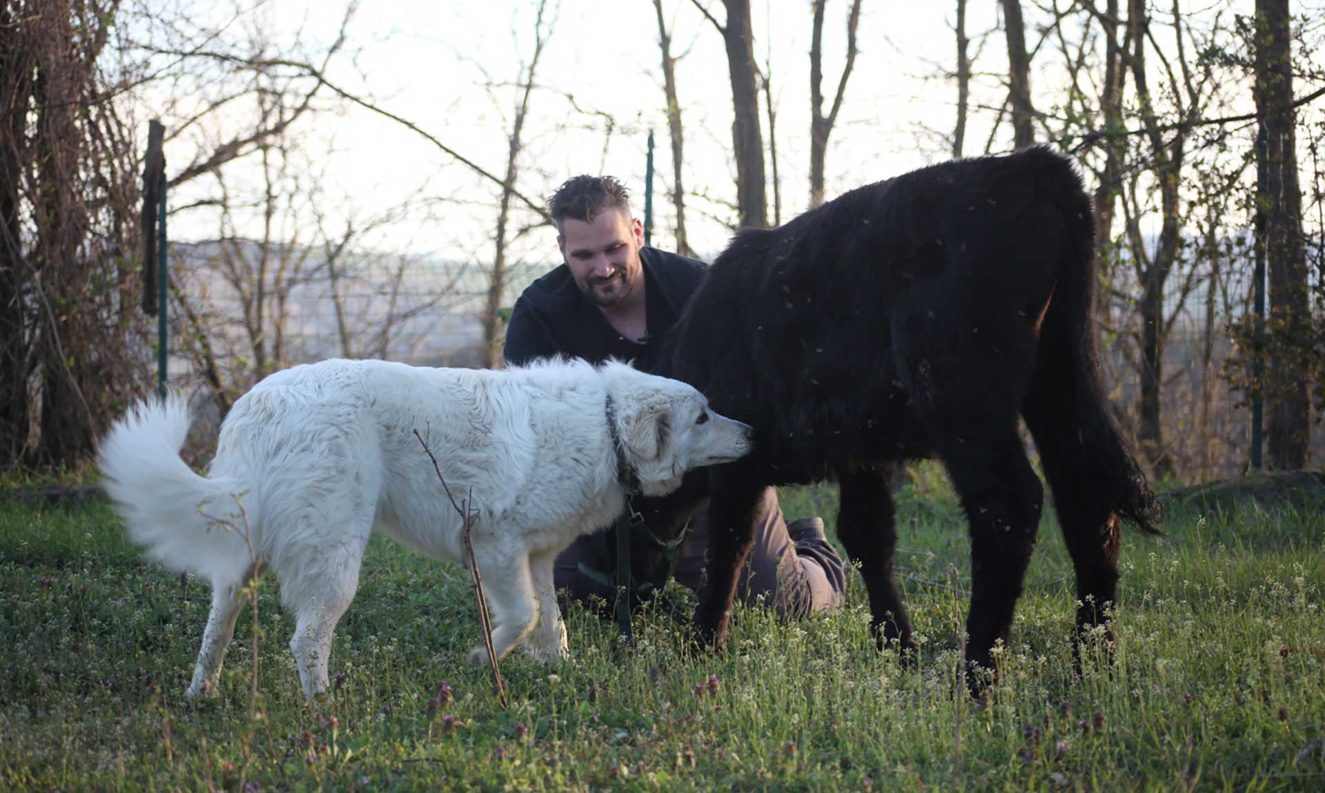 Mirko Rosa mit dem Hund im Hunde-Wellness-Zentrum - Il Vino e le Rose
