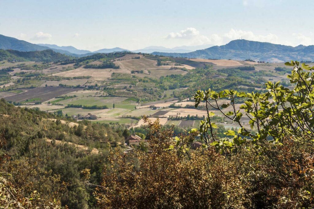 Blick auf die Landschaft der Colli Tortonesi - Il Vino e le Rose